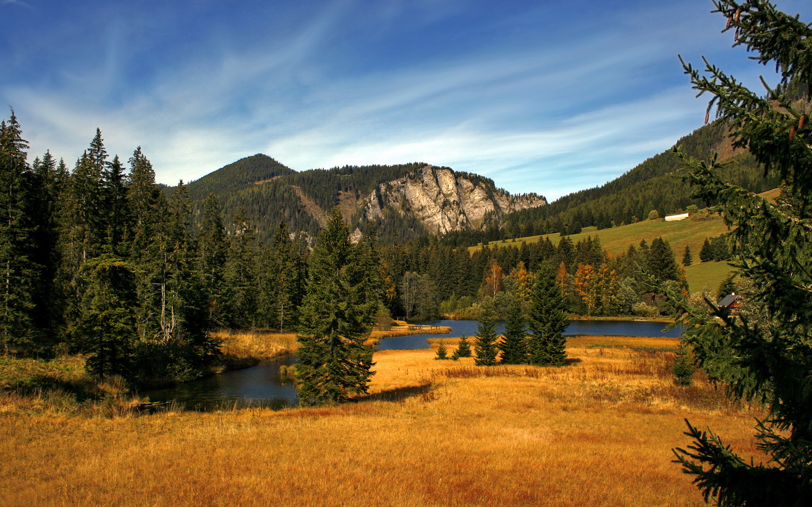 山野采蘑菇徒步，与大自然亲密接触，山上采蘑菇