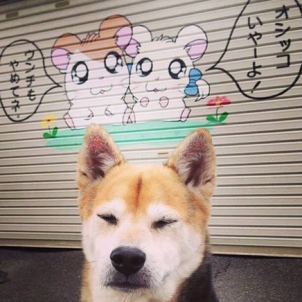 开云体育平台-中国青少年篮球青训体系获国家专项资金支持，行业迎来新机遇，中国青少年篮球联赛有哪些